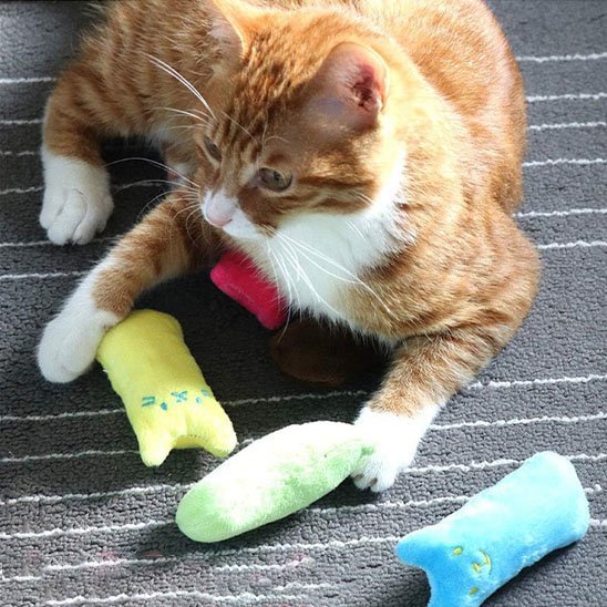 Jouet pour chat ludique