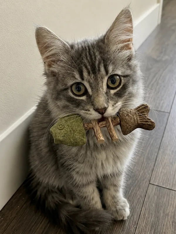 Jouet pour chat naturel poisson facile à attraper