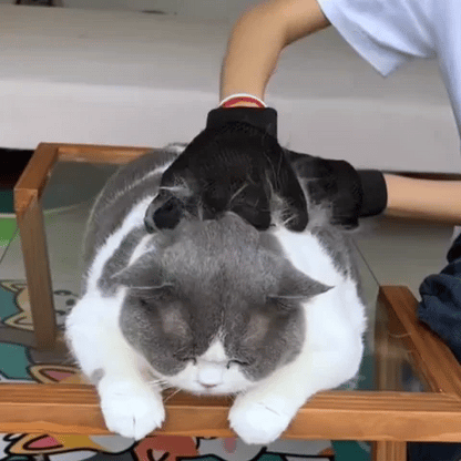 Brosse chat | Auto-nettoyante Anti-poils