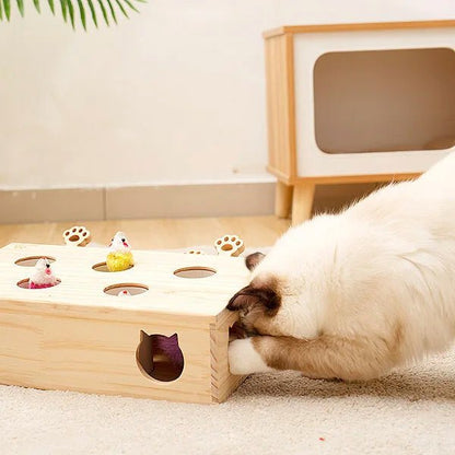 Jouet Interactif Chat - WoodMole™ - Universduchat