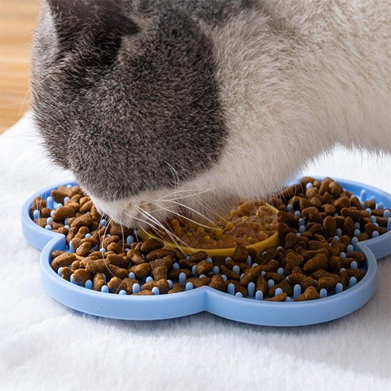 Tapis de lechage | Apaisant - Universduchat