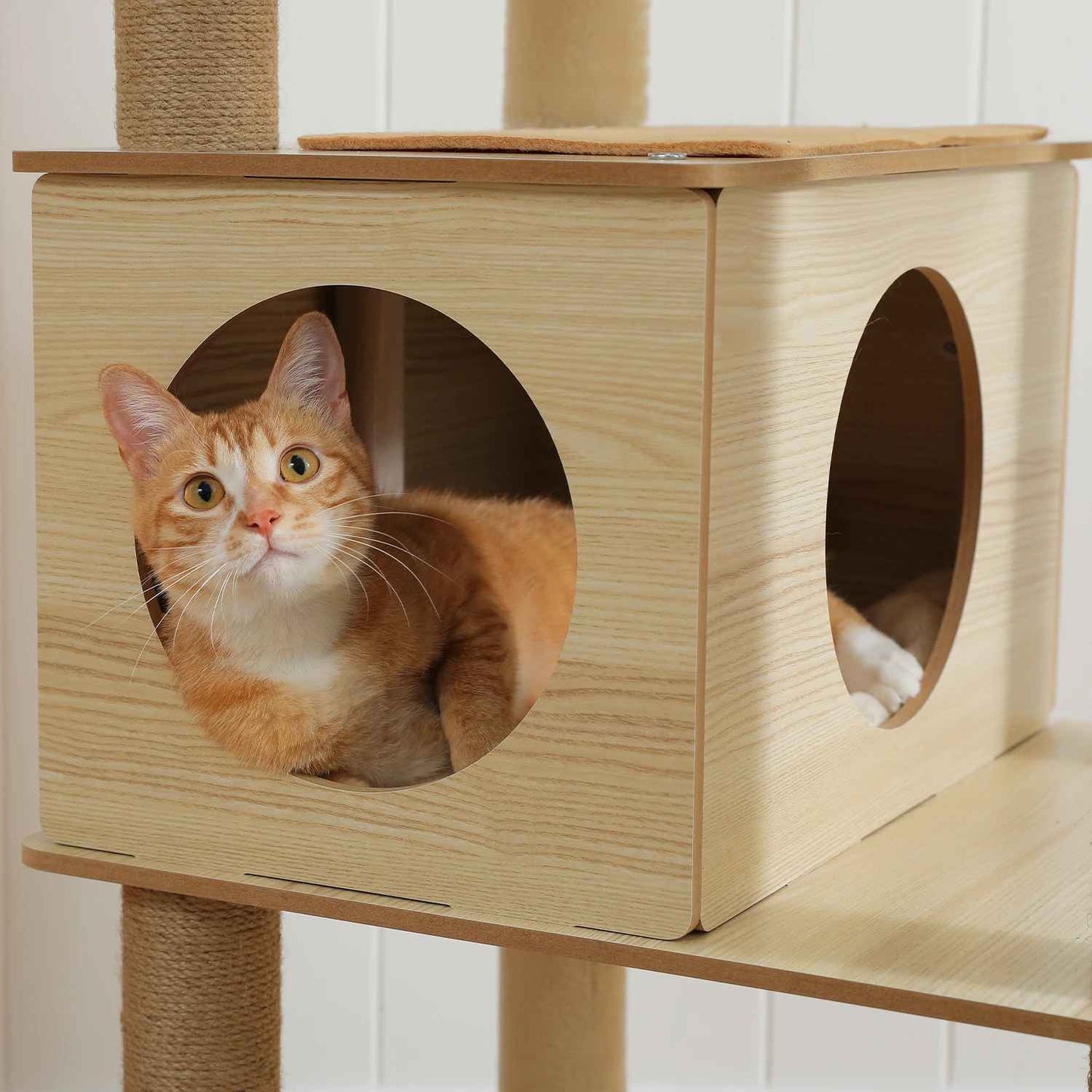 Arbre a Chat en bois | FelinDesign - Universduchat