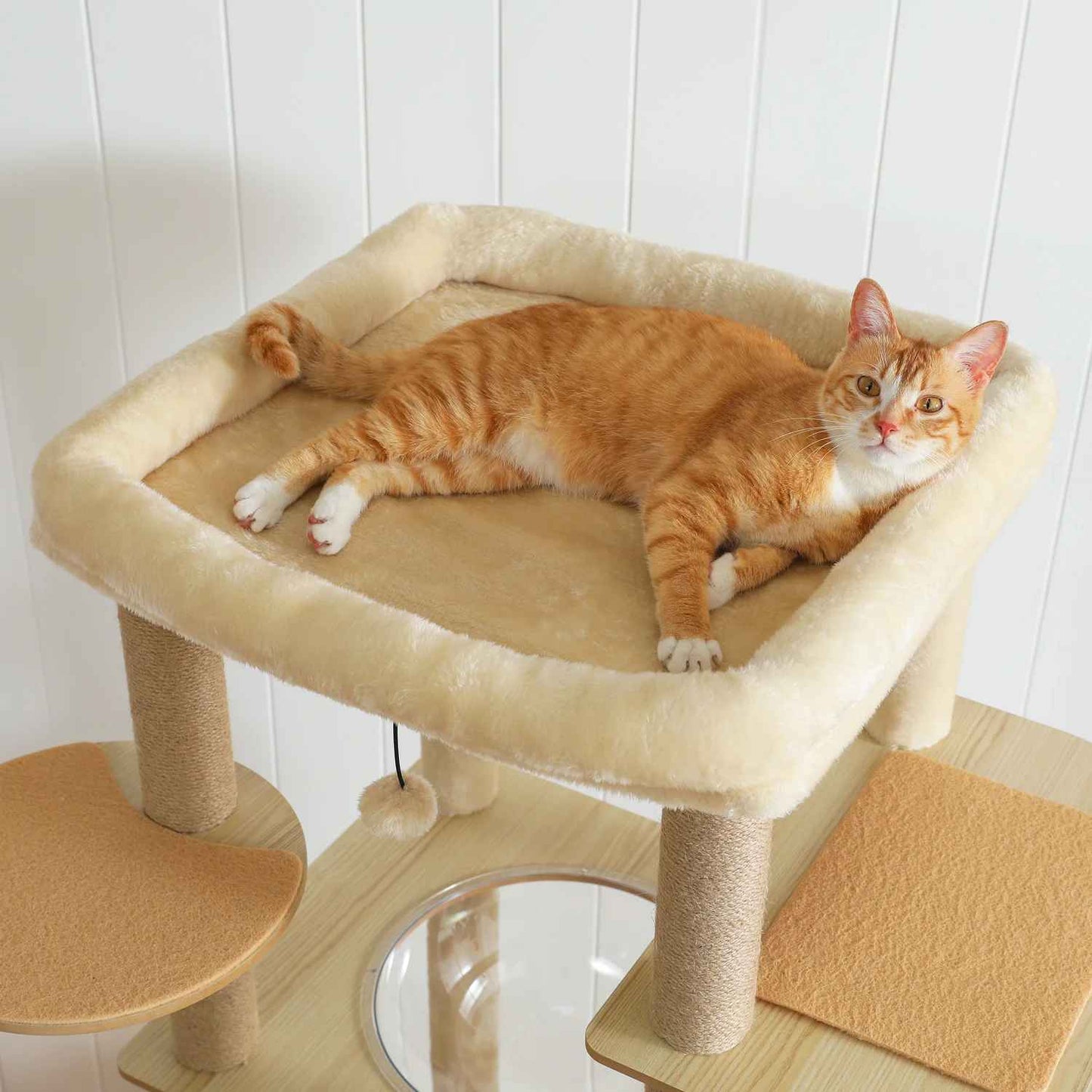 Arbre a Chat en bois | FelinDesign - Universduchat