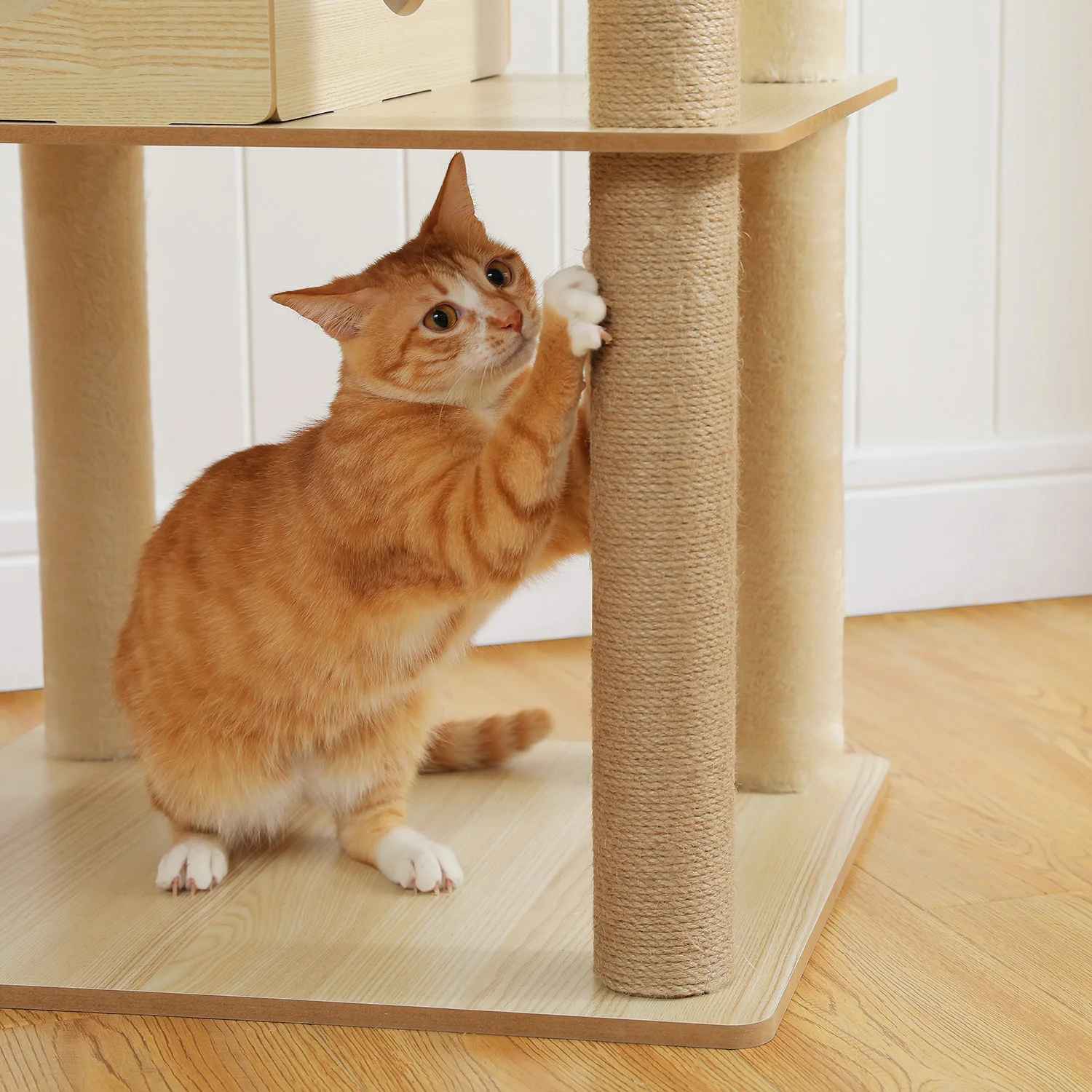 Arbre a Chat en bois | FelinDesign - Universduchat