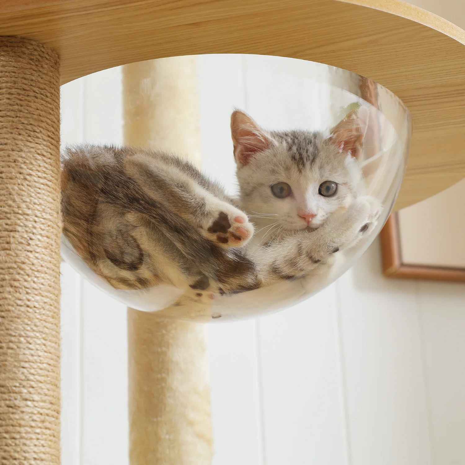 Arbre a Chat en bois | FelinDesign - Universduchat