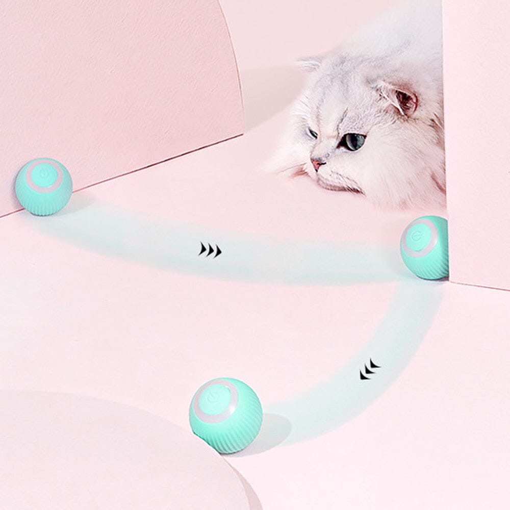 AutoBall™ - Jouet électrique interactifs pour chats - Universduchat