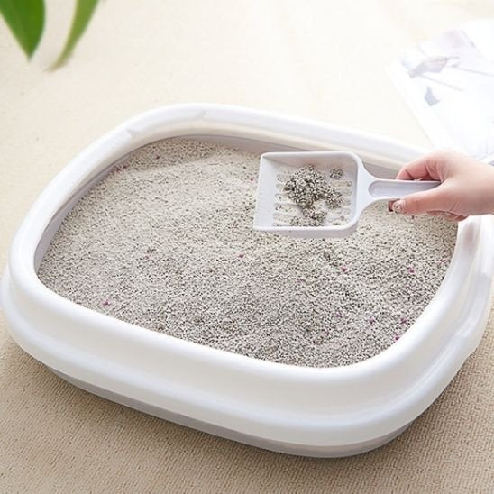 Bac à litière chat nettoyage facile