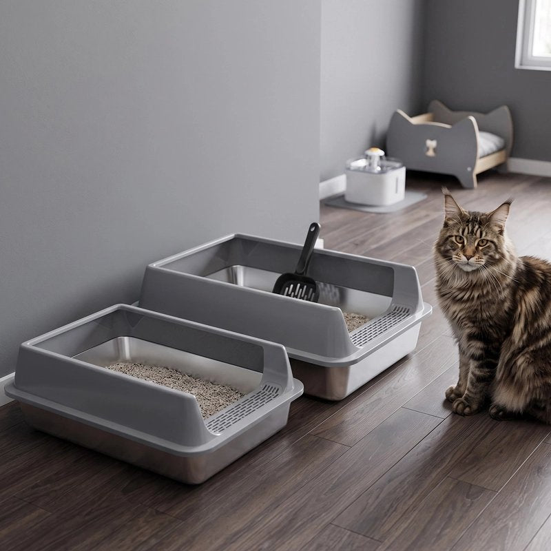 Bac à litière Chat