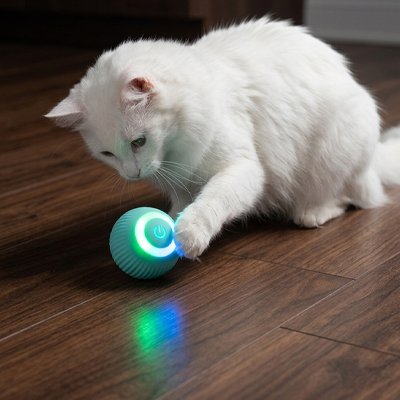 Balle interactive pour chat turquoise lumineuse, jouet sous un chat blanc