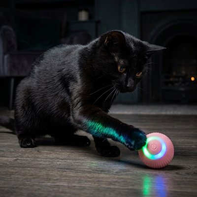 Balle interactive pour chat à lumière arc-en-ciel, près d’un chat noir