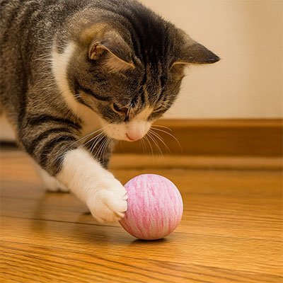 Balle pour chat rose