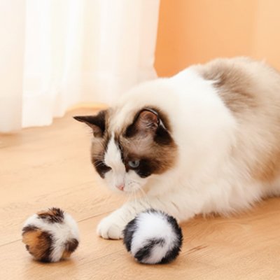 Balle interactive pour chat en peluche, balle multicolore près des pattes