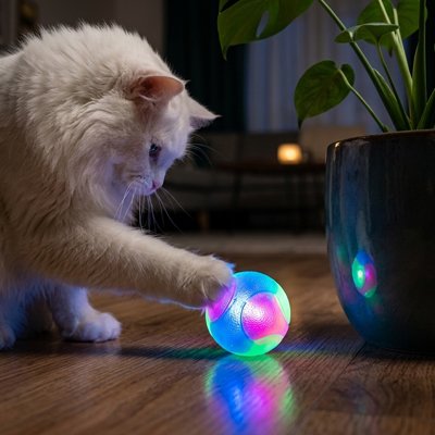 Balle interactive lumineuse pour chat, chat blanc, balle arc-en-ciel LED sur parquet