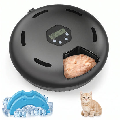 Distributeur automatique de nourriture humide pour chat – version noire, 6 compartiments, fonctionnement sur piles


