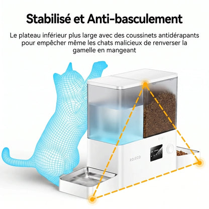 Mangeoire automatique blanche avec base stable et réservoir à croquettes transparent