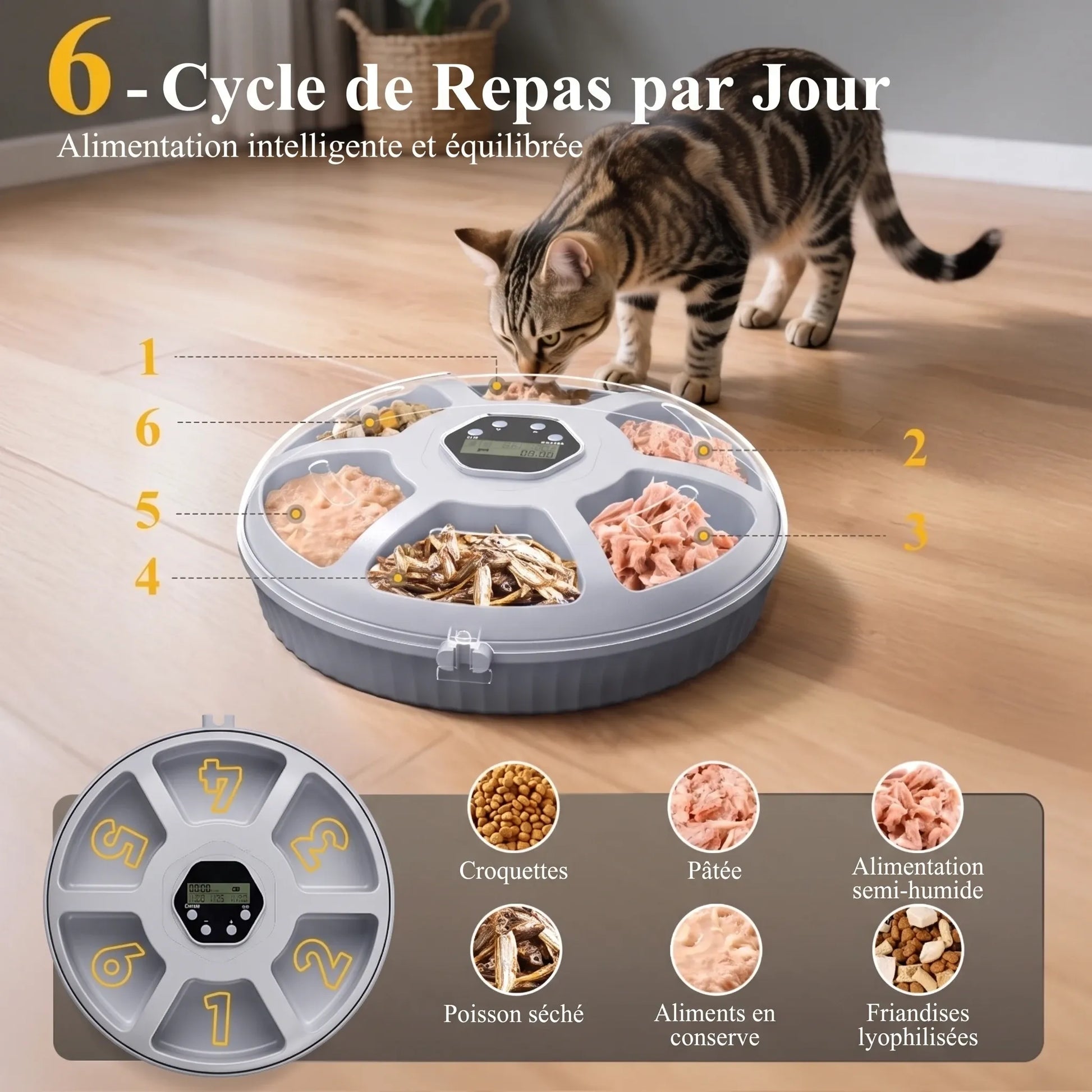 chat en train de manger : Chat en train de manger dans son distributeur automatique programmable à 6 repas

