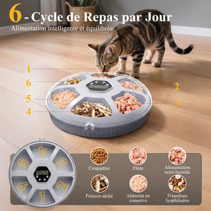 chat en train de manger : Chat en train de manger dans son distributeur automatique programmable à 6 repas

