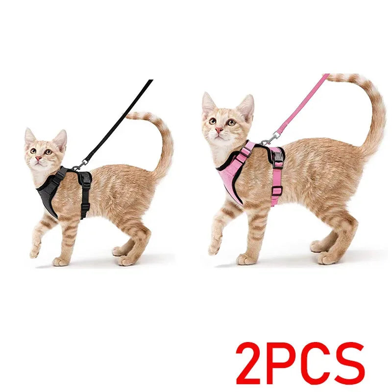 duo  harnais pour chat noir et rose avec leurs laisses