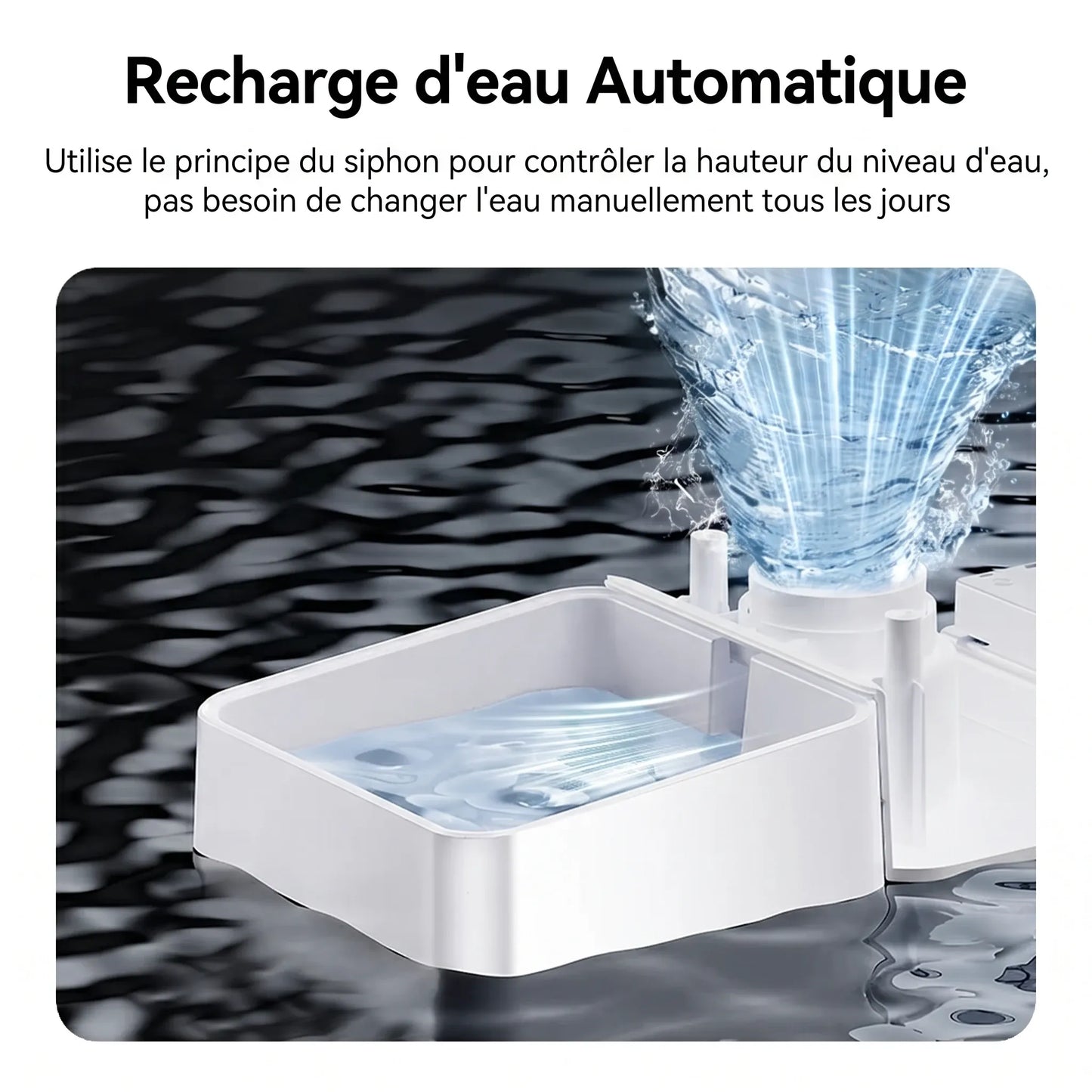 Fontaine à eau gravitaire blanche avec bac transparent, eau en jet vers le récipient