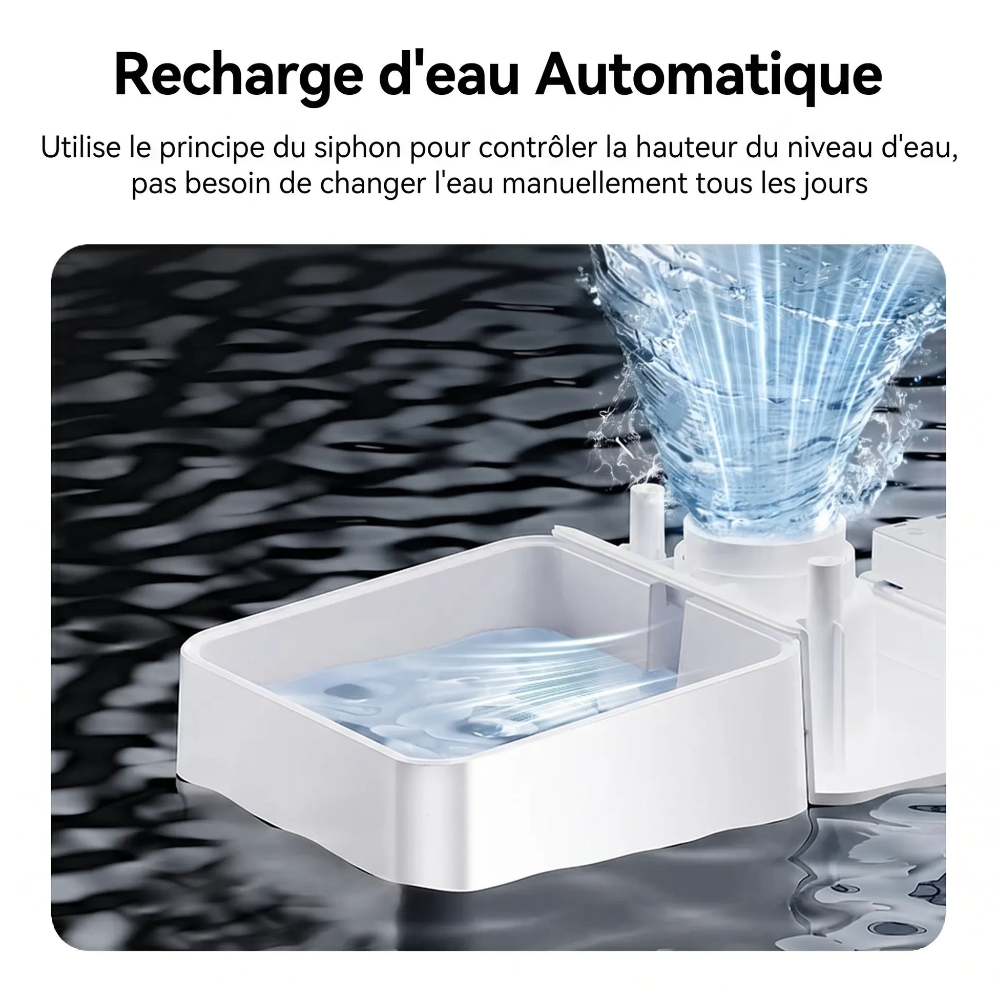 Fontaine à eau gravitaire blanche avec bac transparent, eau en jet vers le récipient