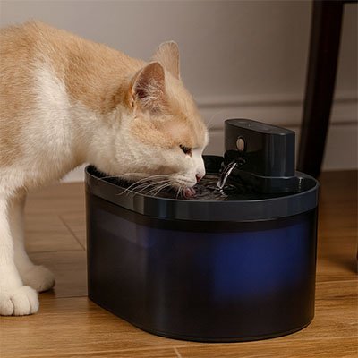 Fontaine à eau pour chat noire rectangulaire avec eau en surface; chat blanc buvant