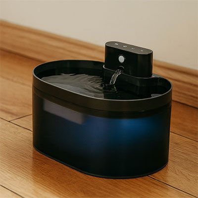Fontaine à eau pour chat noire avec bec verseur et eau visible dans le réservoir