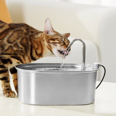 Fontaine a eau Chat en inox