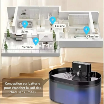 Fontaine à eau pour chat noire ronde avec bec; vue d’ensemble de pièces autour