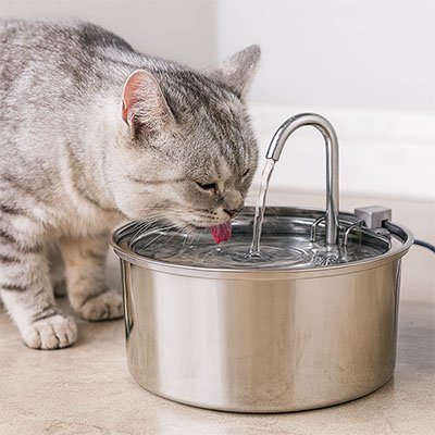 Fontaine a eau pour chat en acier inoxydable: