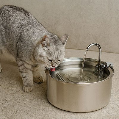 Fontaine a eau pour chat Système de circulation continue