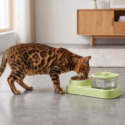 Gamelle pour Chat Ensemble 2-en-1: