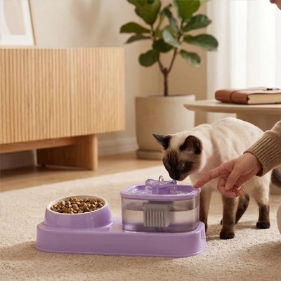 Gamelle pour Chat réservoir transparent