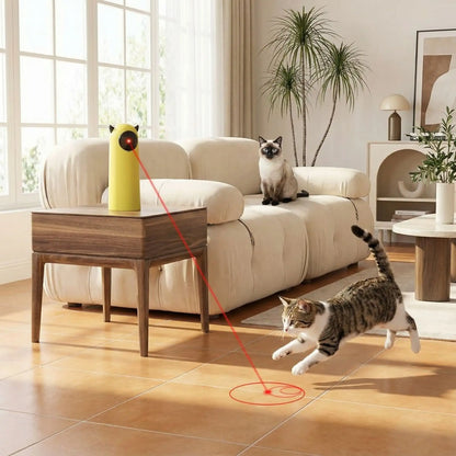 jouets interactifs chat  | PetPlay