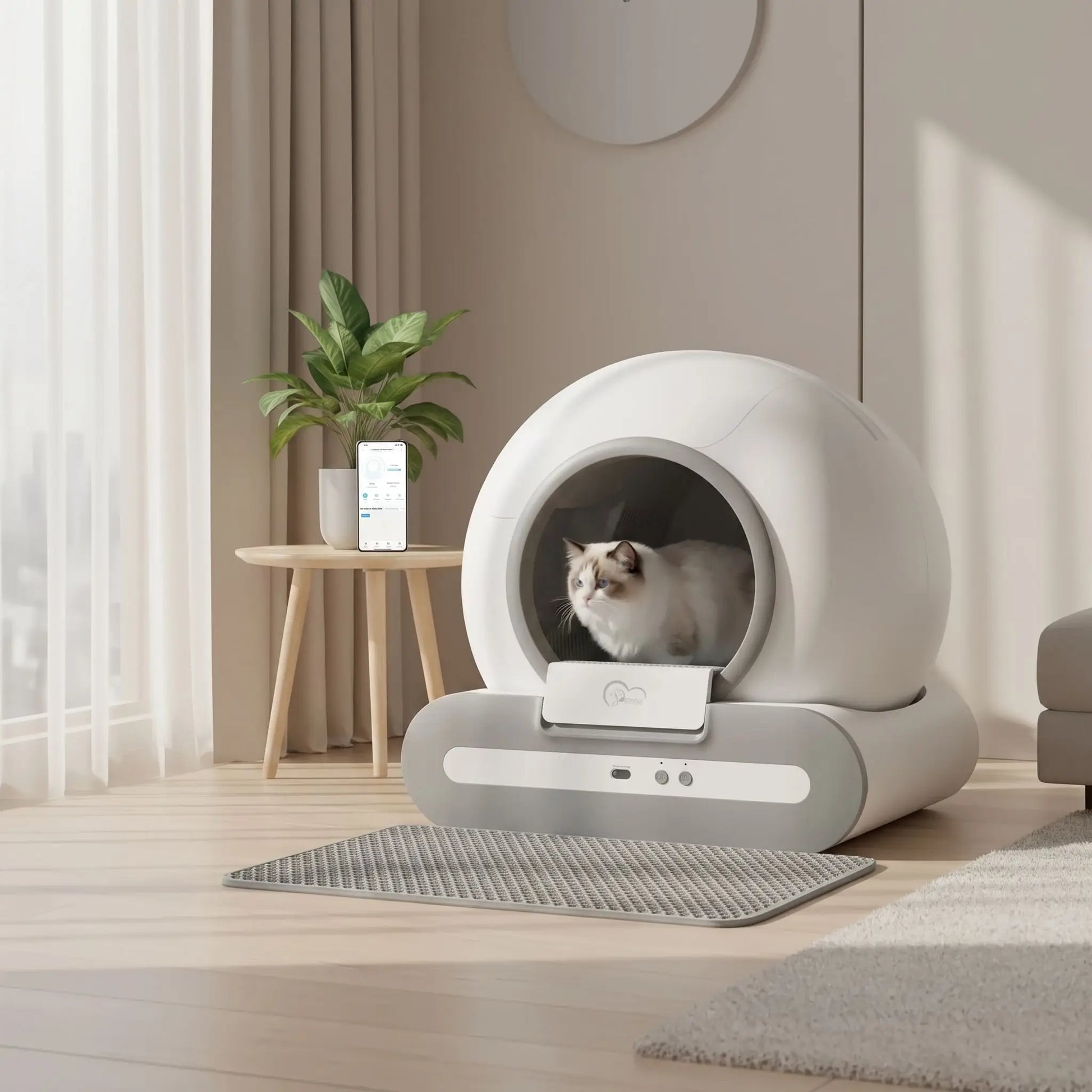 Chat utilisant son bac à litière auto-nettoyant 65L — adoption immédiate
