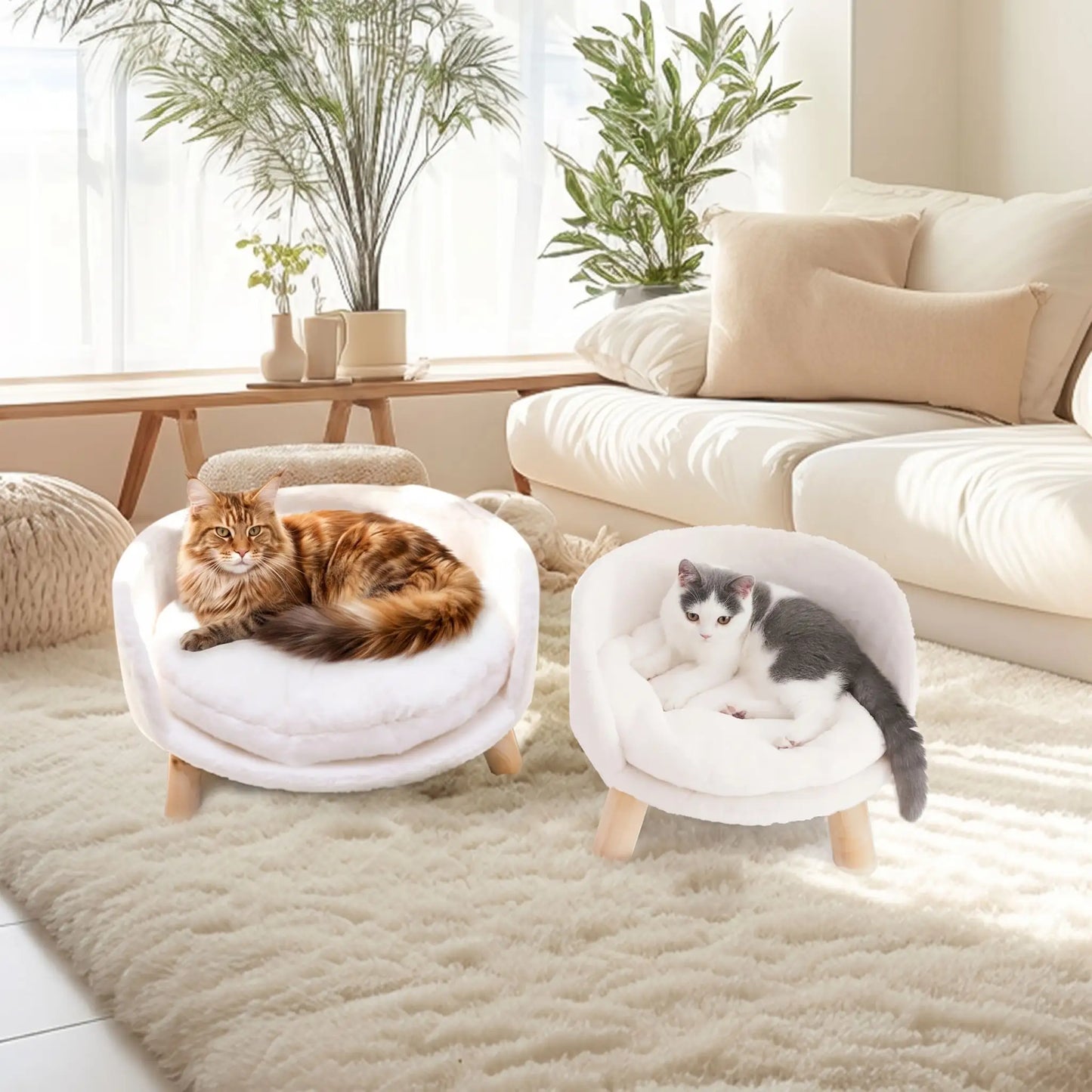  Lit pour chat sur pieds en bois avec coussin peluche blanc — tailles S et L avec Maine Coon et chat gris dans un salon moderne
