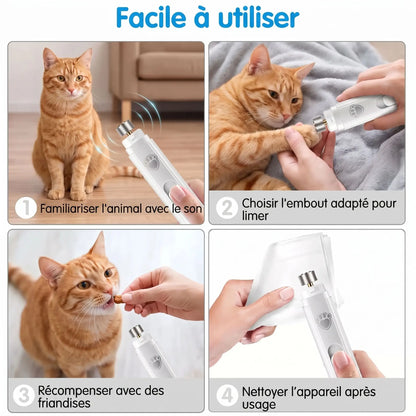Lime à ongles électrique pour chat, embout de limage appliqué sur la patte