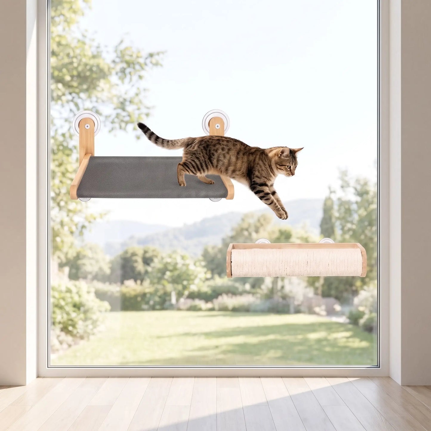 Chat sautant vers un hamac de fenêtre pour chat fixé par ventouses sur une vitre
