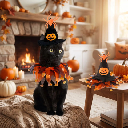 Déguisement Halloween pour chat : chapeau sorcière noir à citrouille orange et collerette en tulle
