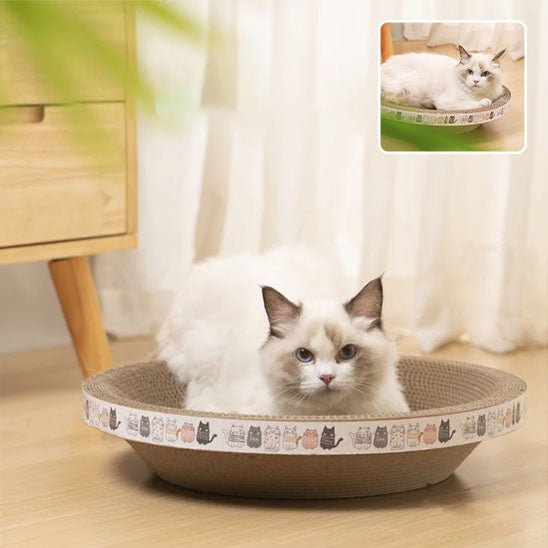 griffoir chat - en forme de BOL - Universduchat