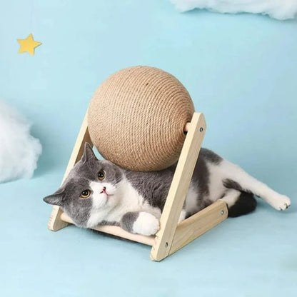 griffoir chat - chaton - Universduchat