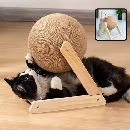 griffoir chat - chaton - Universduchat