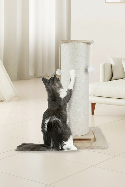 Griffoir chat en sisal naturel | Poteau XXL 60 ou 80 cm | Base stable