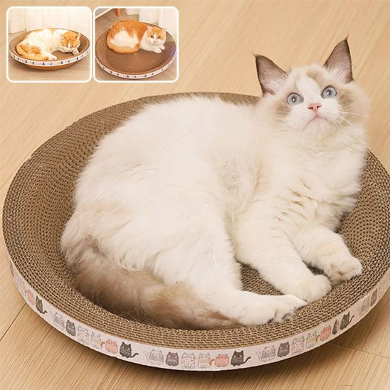 griffoir chat - en forme de BOL - Universduchat