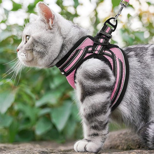 harnais chaton Design réfléchissant