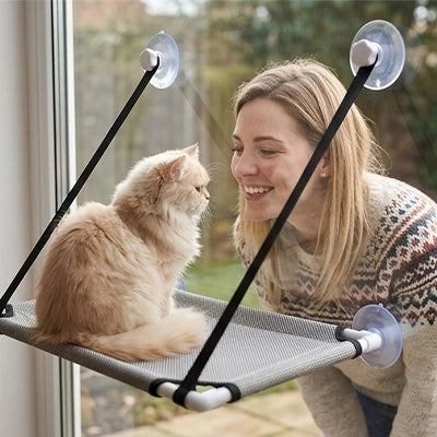 Hamac de fenêtre pour chat gris avec ventouses rondes, sangles noires, chat beige sur la toile