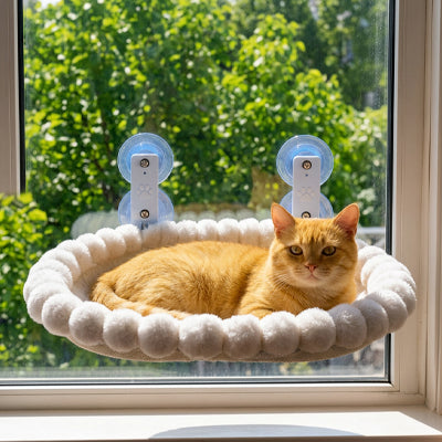 Hamac pour fenêtre rond en peluche claire avec ventouses, chat roux couché