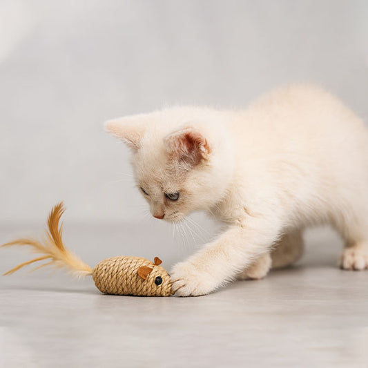 Jouet pour chat : souris en corde de chanvre avec plume orange
