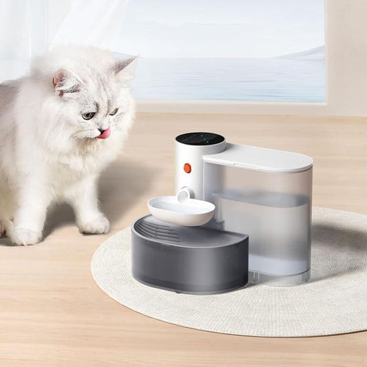 Chat gris près de la fontaine à eau pour chat blanche et grise sur tapis clair
