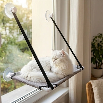 Hamac de fenêtre pour chat gris, ventouses sur le cadre, chat blanc couché sur la toile