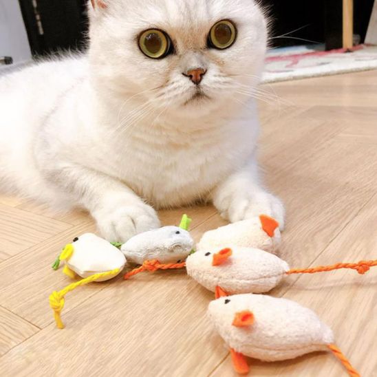 Jouets souris en fausse fourrure, souris blanches et grises avec ficelle
